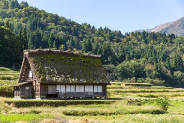 Japonya'nın geleneksel Shirakawago Köyü
