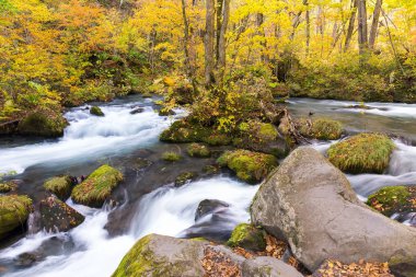 Oirase akışı şelale ile 