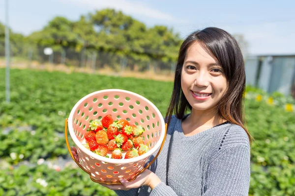 Mujer sosteniendo cesta de fresas en la granja — Foto de Stock