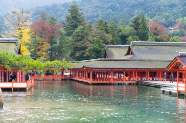 Japonya'nın geleneksel Itsukushima Tapınak