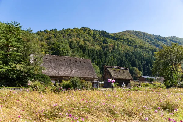 Japonés Shirakawago pueblo con casas — Foto de Stock