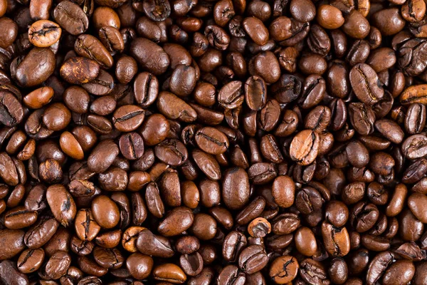 Grain de café torréfié fond — Photo
