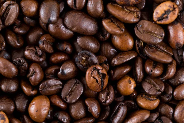 갈색 커피 콩 배경 — 스톡 사진