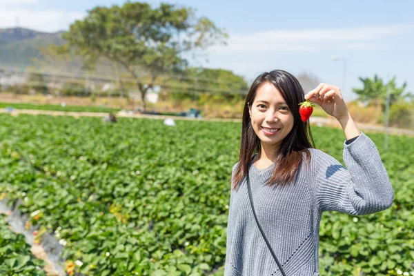 Vrouw met verse aardbeien uit veld — Stockfoto