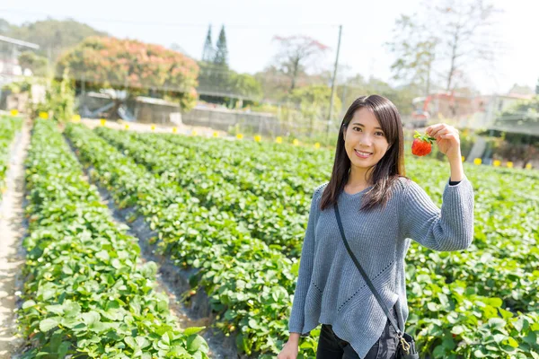 Vrouw bedrijf aardbeien op veld — Stockfoto