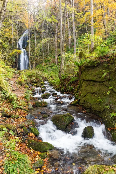 Oirase Stream i Japan - Stock-foto