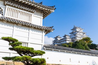 Geleneksel Himeji Kalesi