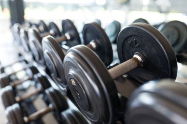 spor salonunda raf üzerinde metal halter satırlar