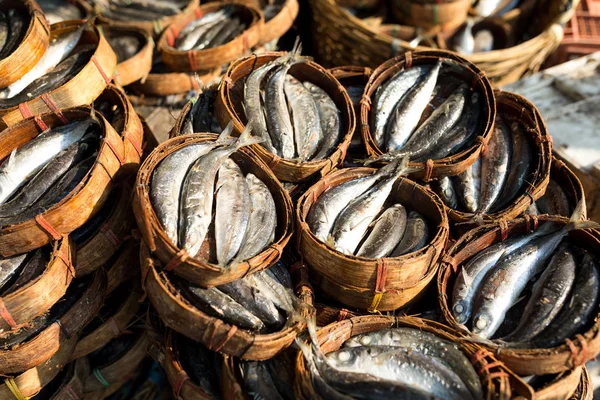 Mackerel fish in round bamboo basket — Stock Photo, Image