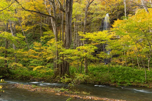 Herbstfarben des oirase River — Stockfoto