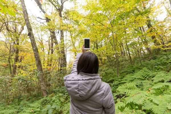 Femme prenant des photos en forêt — Photo