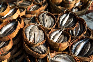 Bambu sepet uskumru balığı