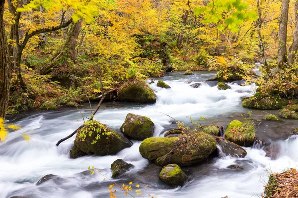 Гірський струмок Oirase в осінній сезон — стокове фото
