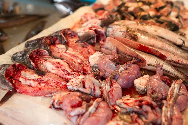 Peixes não cozidos e rãs comestíveis chinesas no mercado húmido — Fotografia de Stock