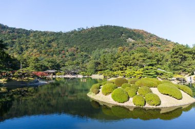 Japonya'da Ritsurin park 