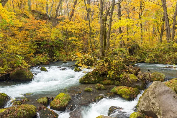 Japanischer oirase mountain stream — Stockfoto