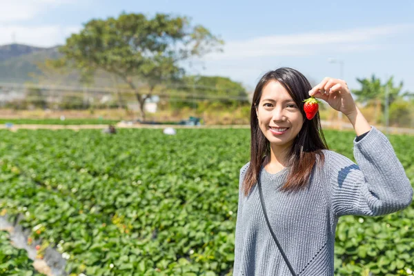Frau pflückt Erdbeere auf Erdbeerfeld — Stockfoto