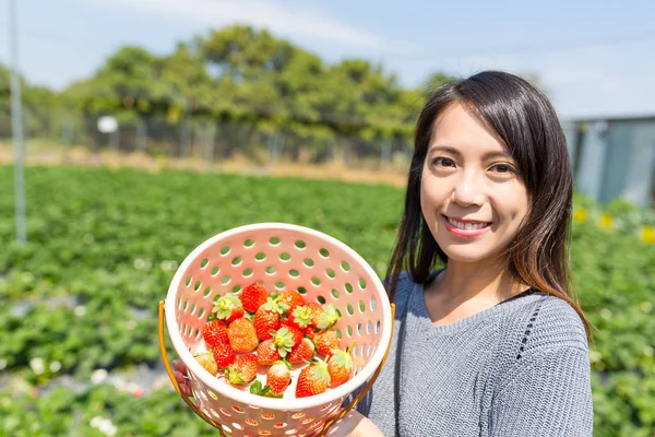 Frau hält Erdbeerernte auf Bauernhof — Stockfoto