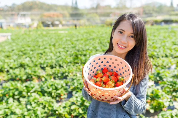 Vrouw met een mandje aardbeien in een farm — Stockfoto