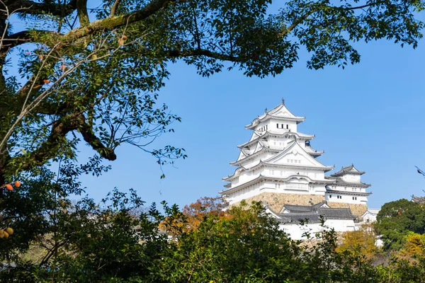 Castillo tradicional de Himeji —  Fotos de Stock