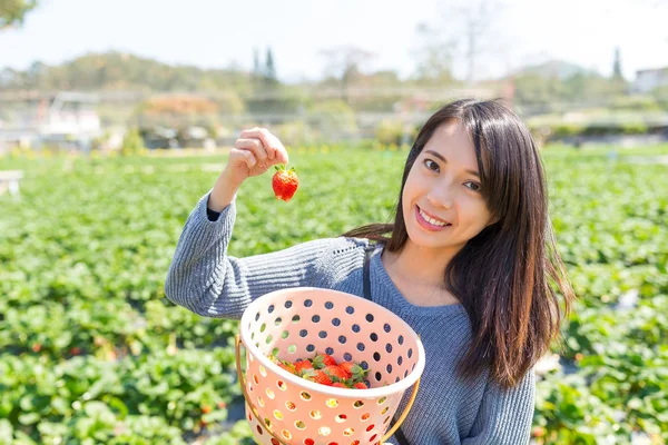 Mujer sosteniendo fresa en el campo — Foto de Stock