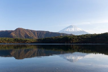 Dağ Fuji ve su birikintisi içinde Japonya