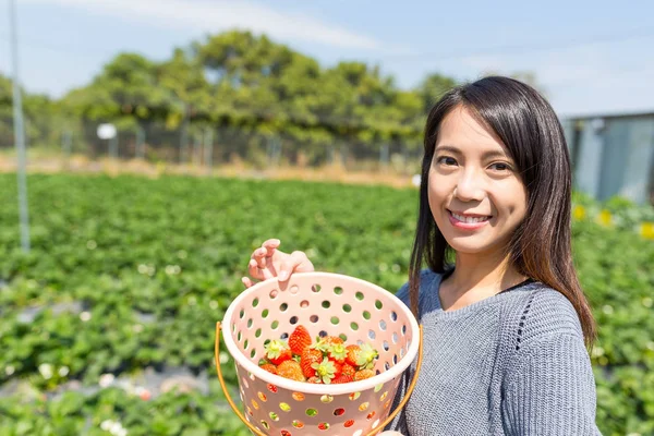 Mulher segurando cesta de morangos no campo — Fotografia de Stock