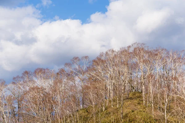 Natural landscape in autumn season