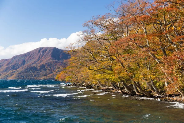 Sjön Towada i höstsäsongen — Stockfoto