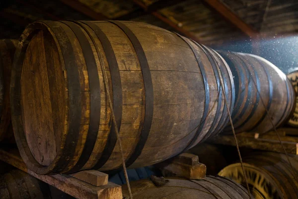 Деревянные бочки для пива в подвале — стоковое фото