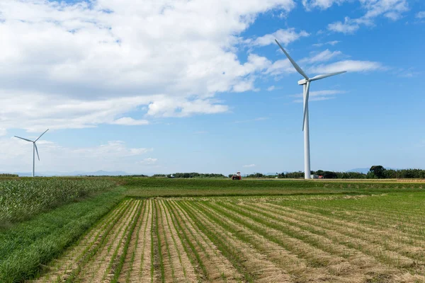 Windturbines in de buurt van veld — Stockfoto