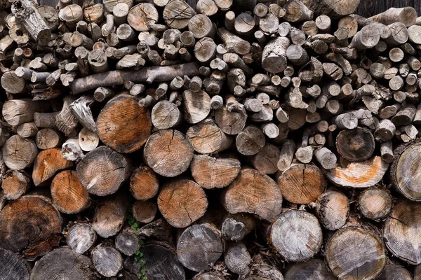 나무 소나무 목재를 쌓아 — 스톡 사진