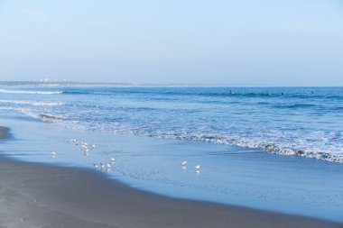 Martılar ve mavi gökyüzü ile deniz manzarası