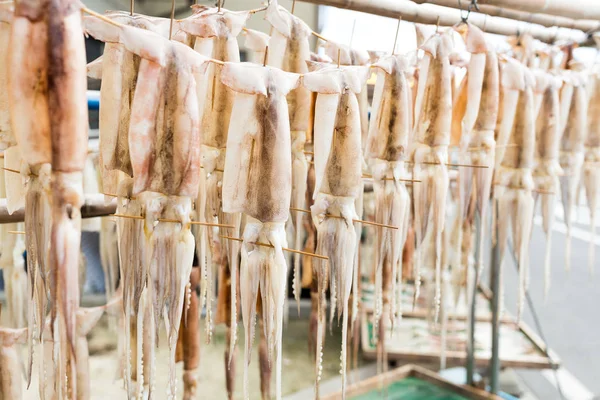 Dry squid hanging at outdoor — Stock Photo, Image