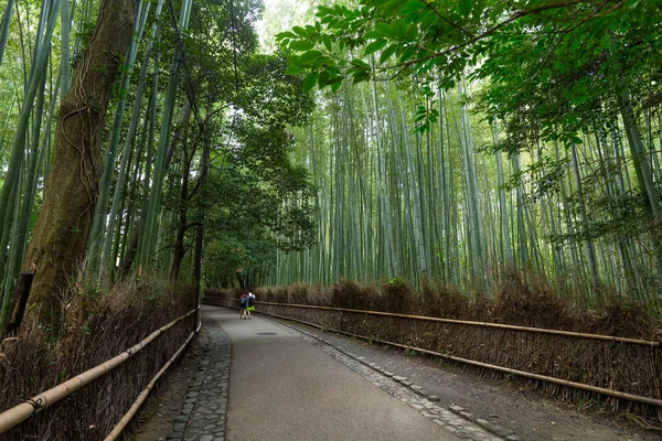 Bambusskogen i Kyoto – stockfoto