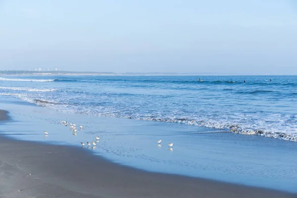 Mare con gabbiani e cielo azzurro — Foto Stock