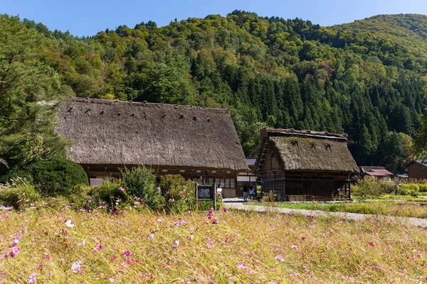 Pueblo Histórico Japonés Tradicional Shirakawago — Foto de Stock