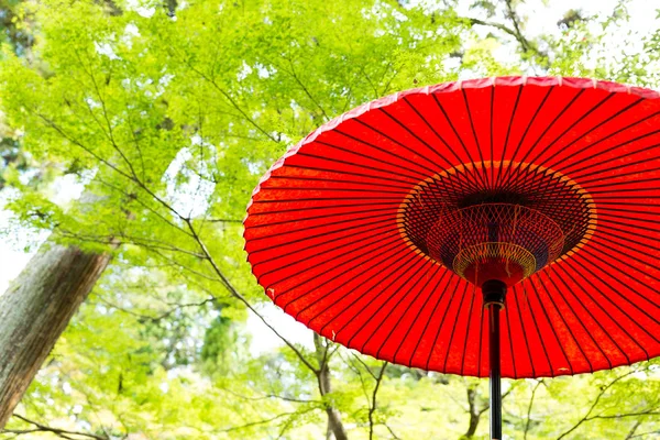 Rode paraplu in park — Stockfoto