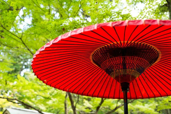 Red paper umbrella in park — Stock Photo, Image
