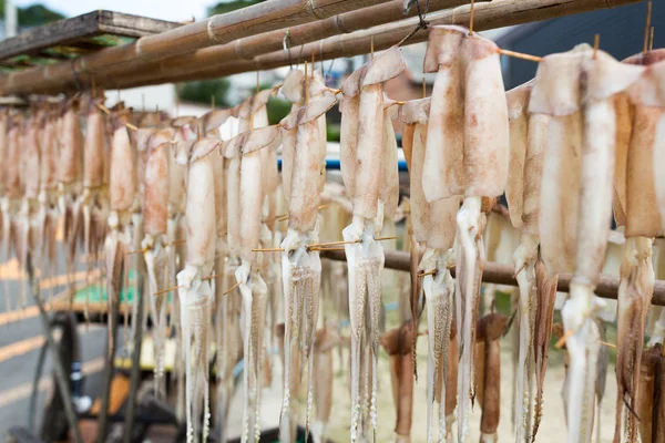 Squids drying on the hanger at outdoor — Stock Photo, Image