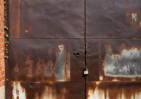 Fond de porte métallique rustique — Photo