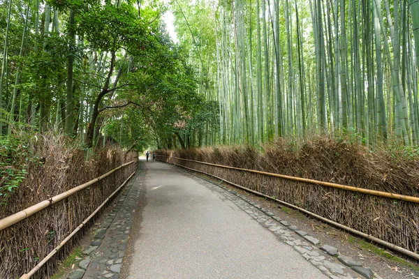 Bambusovým hájkům Arashiyama — Stock fotografie