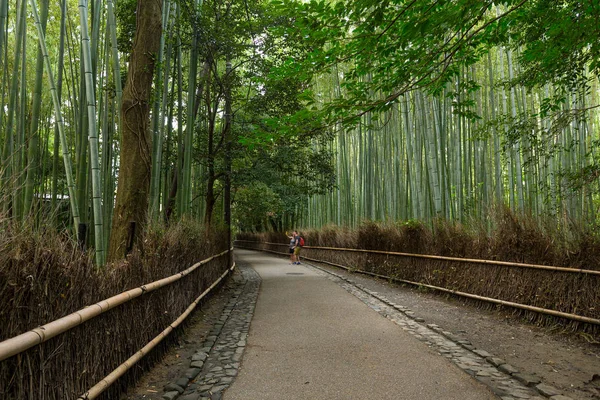 Bambusový les na Arashiyama v Kjótu — Stock fotografie