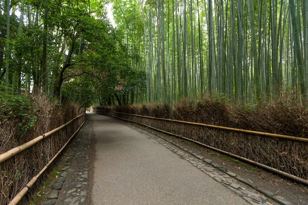 Bambusový les na Arashiyama v Kjótu — Stock fotografie