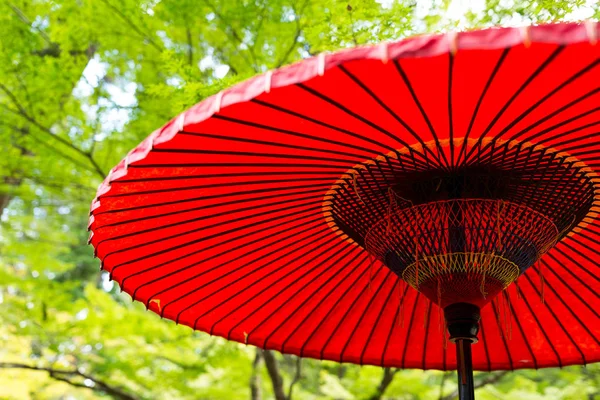 Rode paraplu in het park — Stockfoto