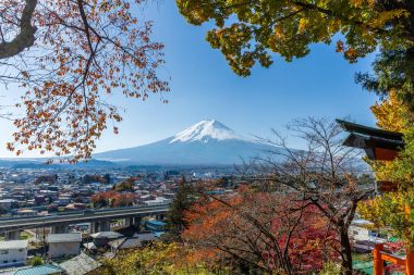 Dağ fuji ve maple ağaçlar
