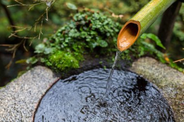 Su bambu Japon Tapınak