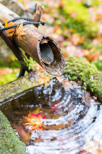 Fuente de bambú de agua con hojas de arce — Foto de Stock