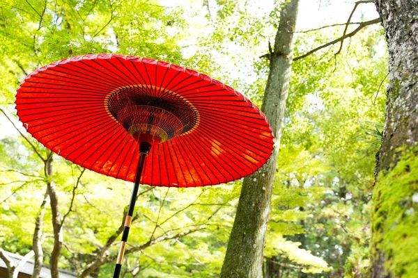 Red umbrella in the park — Stock Photo, Image