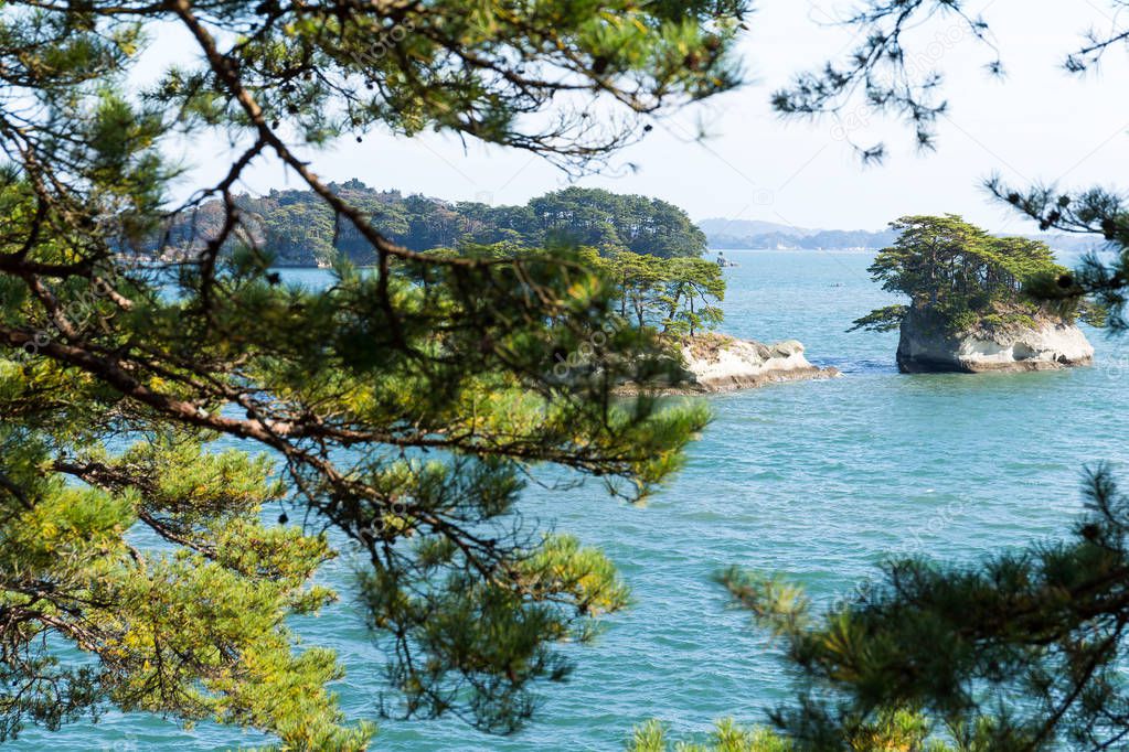 Matsushima islands with bay in Japan